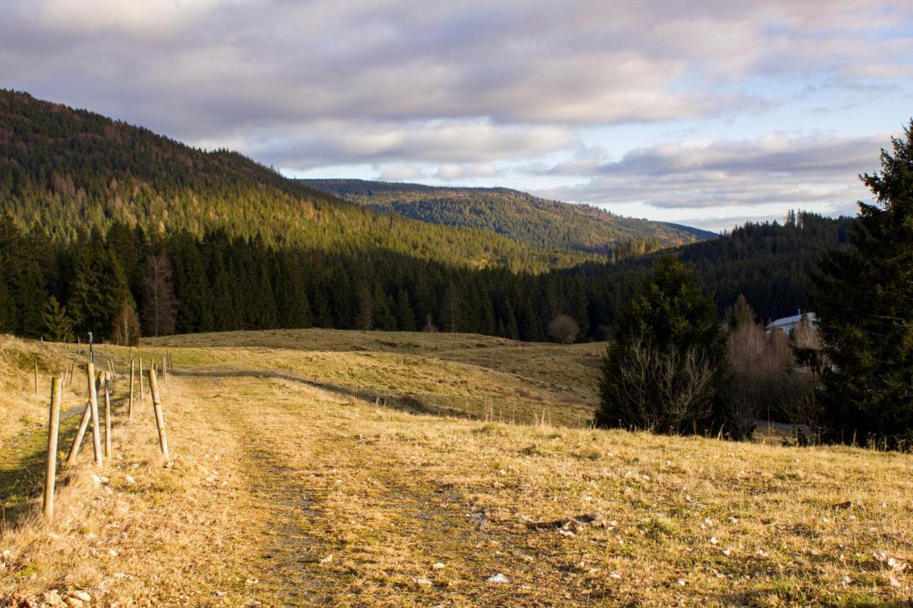 Gemuetliche Ferienwohnung - Mitten Im Schwarzwald Bernau im Schwarzwald Exterior photo