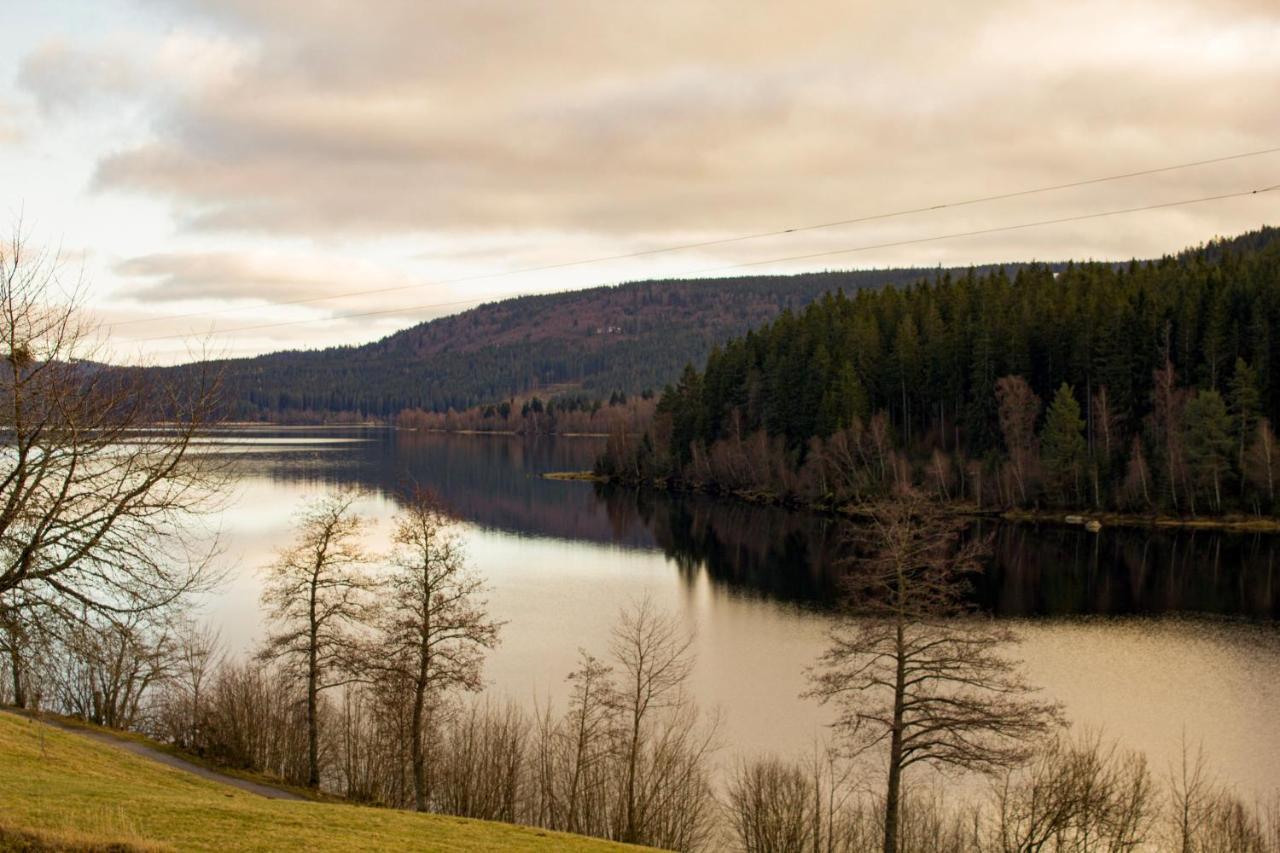 Gemuetliche Ferienwohnung - Mitten Im Schwarzwald Bernau im Schwarzwald Exterior photo